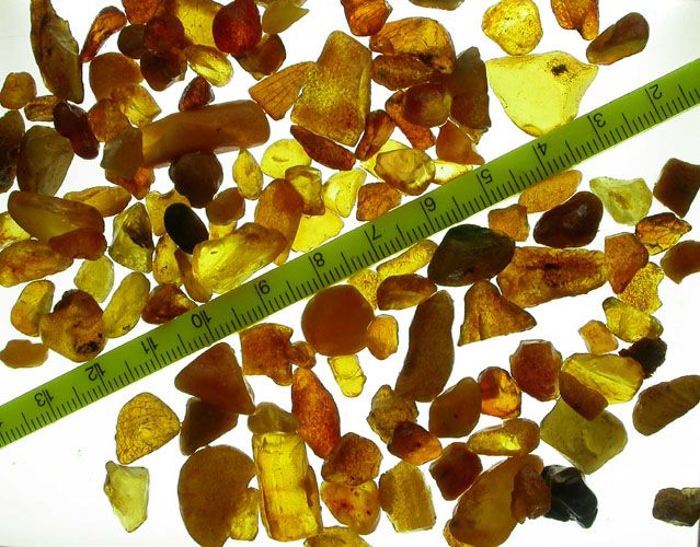 Unsearched rough Baltic fossil amber 10   20mm (1kg)  