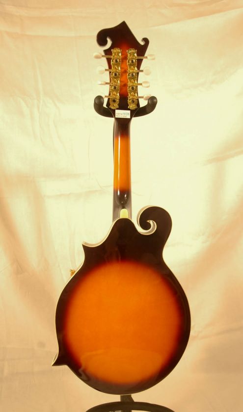 Beautiful Asheville F Style Mandolin A 100 Sunburst Finish Plays 