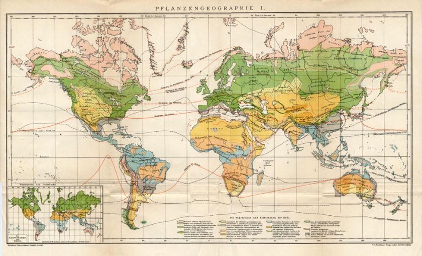 Antique Map PLANT GEOGRAPHY WORLD MAP Meyers 1895  