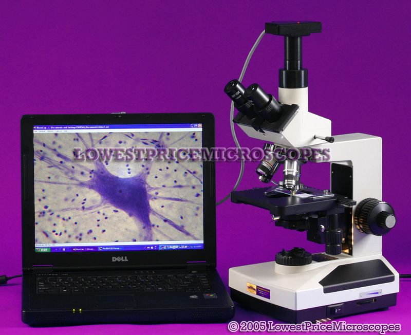 40X 600X TRINOCULAR COMPOUND LIGHT MICROSCOPE W/ CASE  