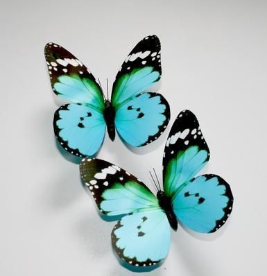 Blue Butterfly Wedding Favor/ Home Decoration NEW  