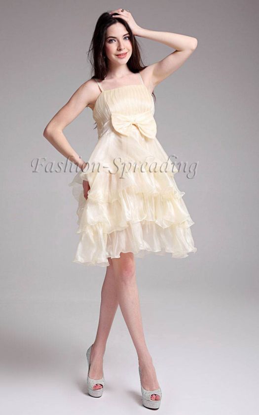   Graceful Slim Princess Cocktail Girl Women Party Pleated Dress  