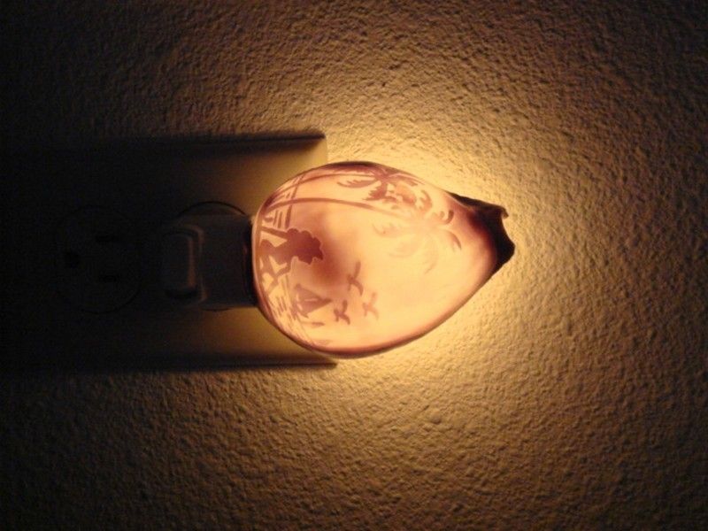 HAND CARVED COWRIE BEACH SHELL NIGHTLIGHT BATHROOM KITCHEN #7203 