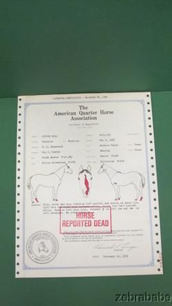 Cutter Bill Original AQHA Registration Papers NCHA World Champion 