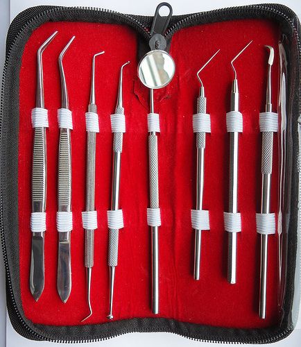 PRO SET DENTAL DENTIST PICK TOOL KIT + Leather STORAGE CASE ( YNR )