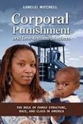   Punishment and Low Income Mothers The Role of 9781604975314  