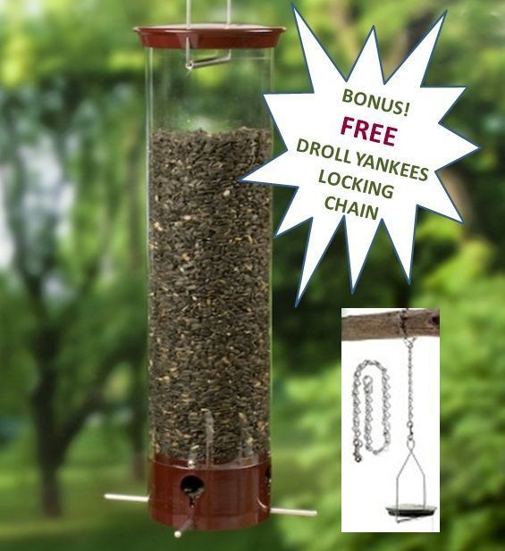 DROLL YANKEES YANKEE DIPPER SQUIRREL PROOF BIRDFEEDER PLUS FREE 