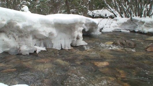 DVD Relaxation Winter Wilderness Snowy Mountain Scenes  