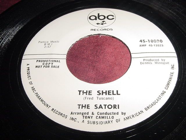 THE SATORI   LONELY WIND, SNOWY DOVE   RARE 45  