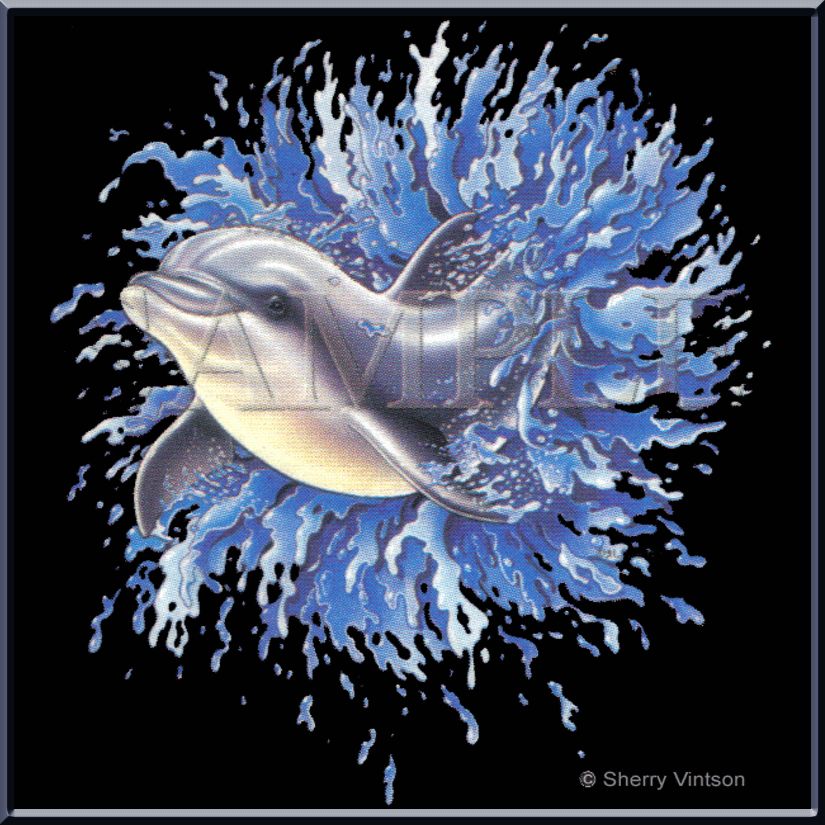 Dolphin Splash Out Sherry Vintson Marine Life Art Shirt S,M,L,XL,2X,3X 