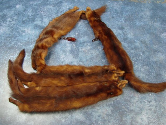 Vintage MINK STOLE FUR COLLAR head feet tail Scarf  