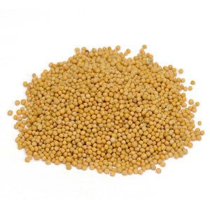 Mustard Seed Yellow Whole Sinapis alba 1 lb Bulk  