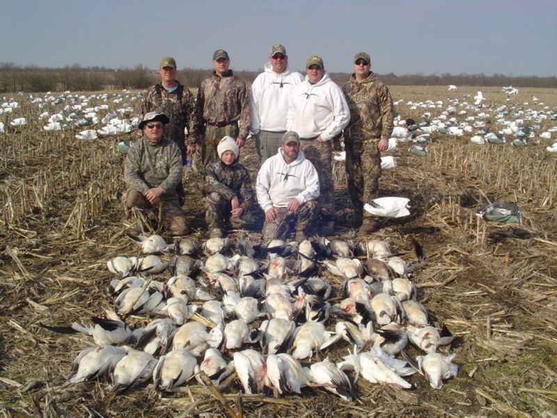 SPRING SNOW GOOSE HUNT NW MO SO DAK band call guided  