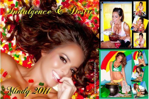 VH1s Reality Star Mindy Hall Calendar 2011  