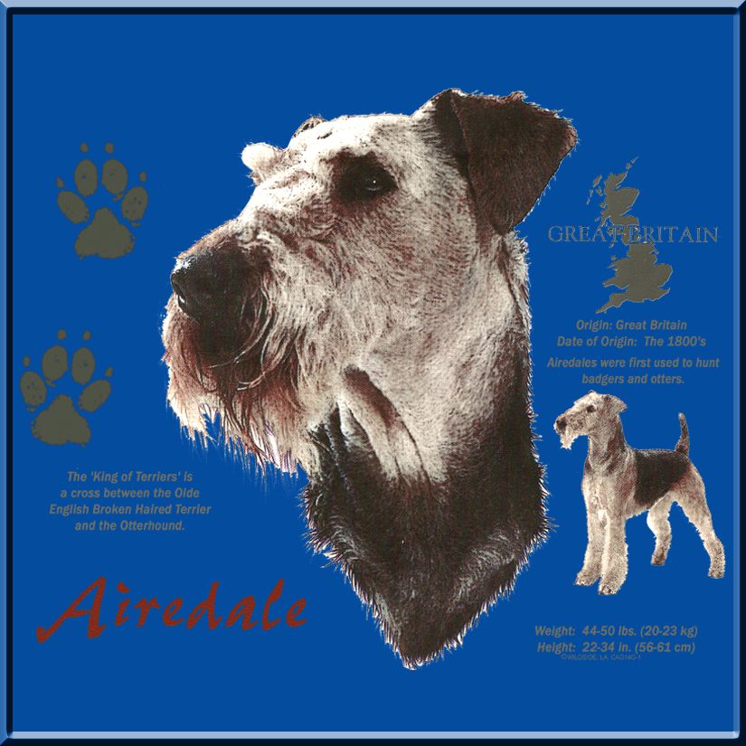 Airedale Terrier Origin Country T Shirt S 2X,3X,4X,5X  