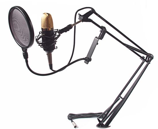   Package   BM 700 Condenser Microphone + Desk Stand + Pop Filter  